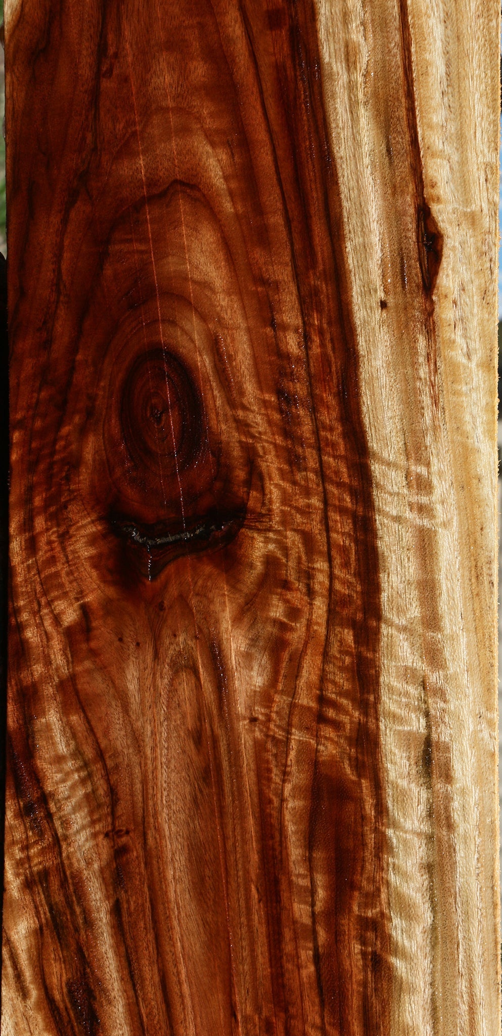 Extra Fancy Camphor Lumber