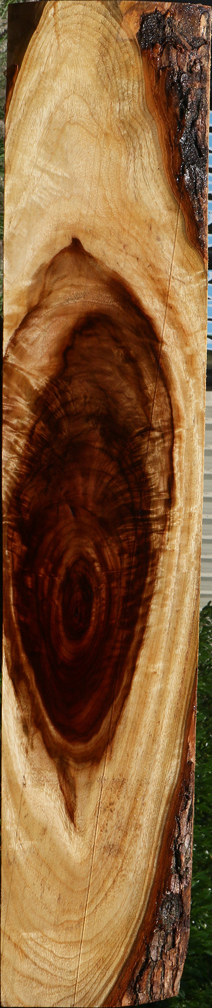 Extra Fancy Camphor Lumber