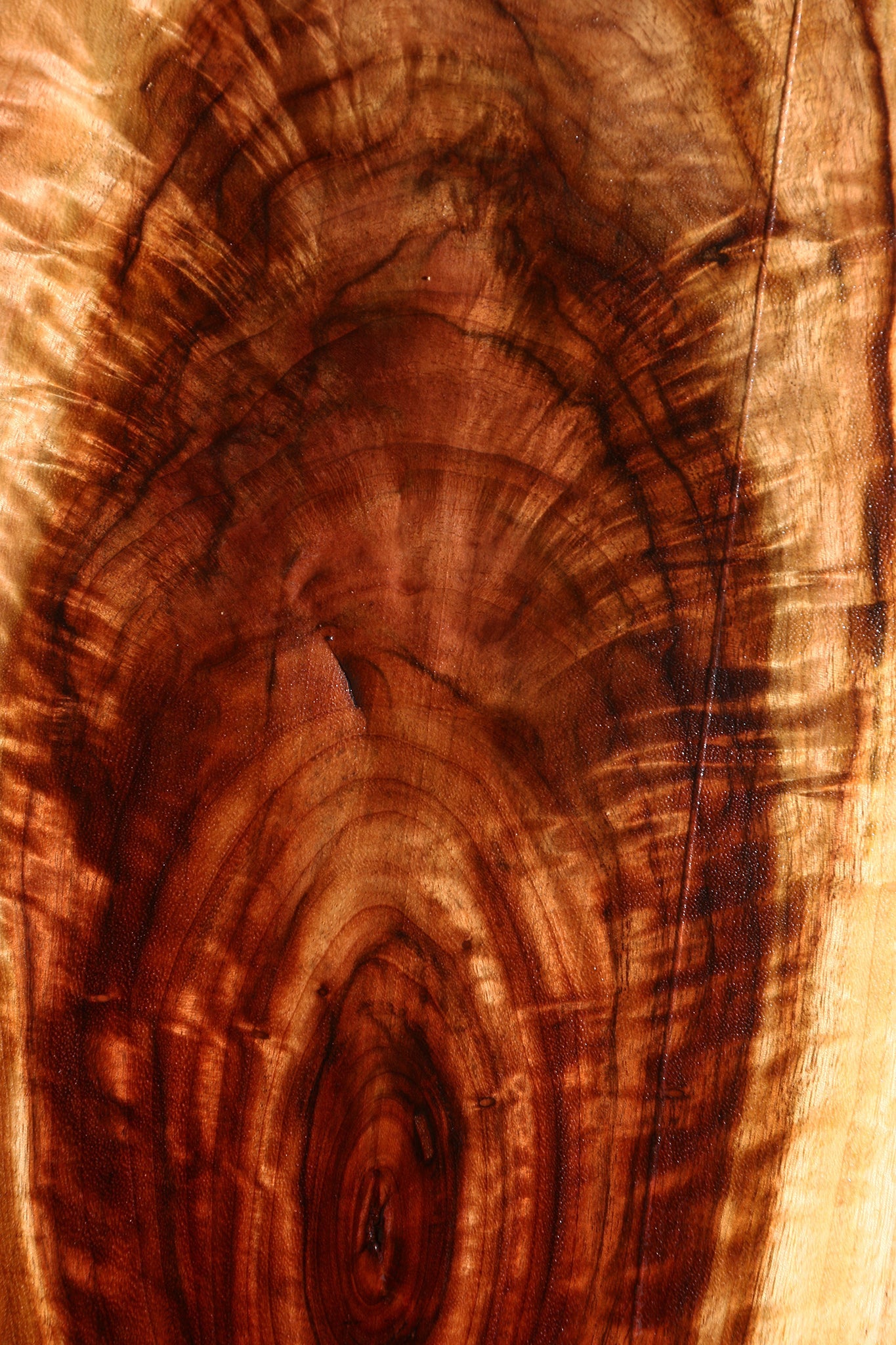 Extra Fancy Camphor Lumber