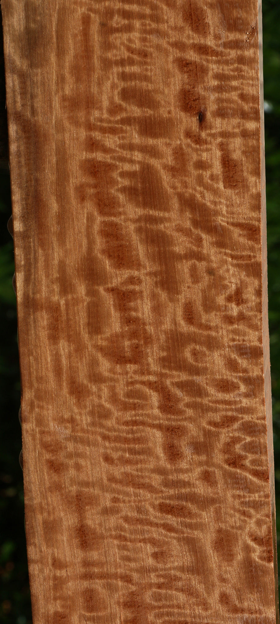 Extra Fancy Pyinma Lumber