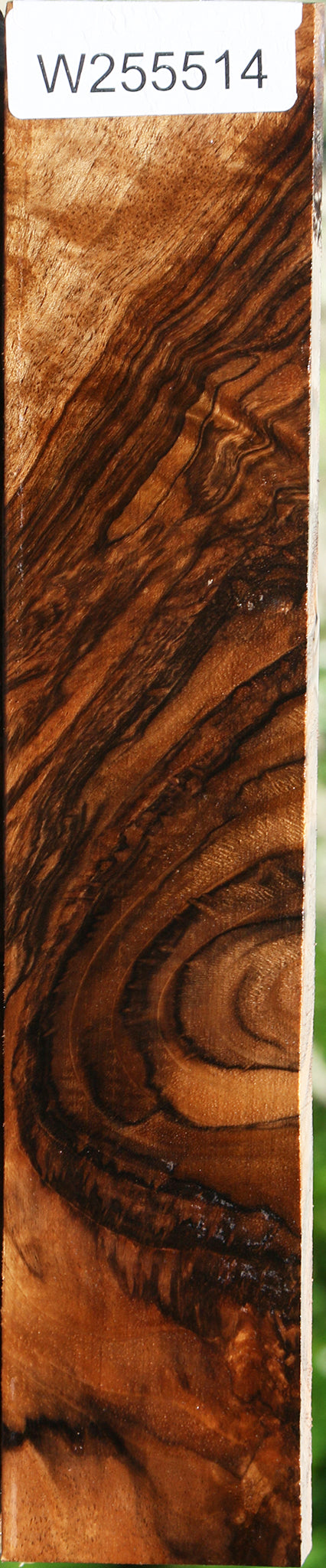 Exhibition English Walnut Lumber