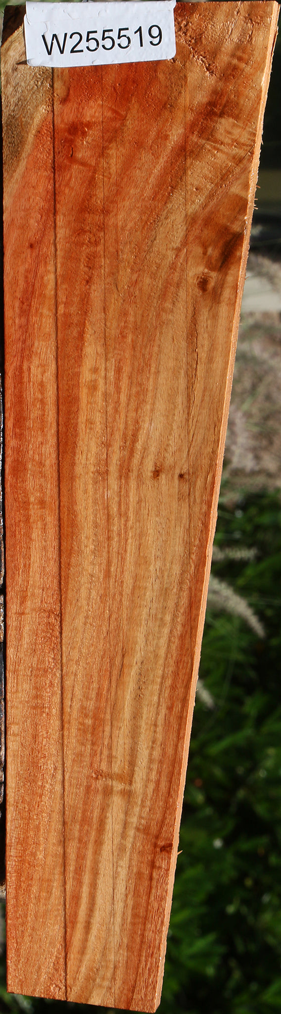 Extra Fancy Carob Lumber
