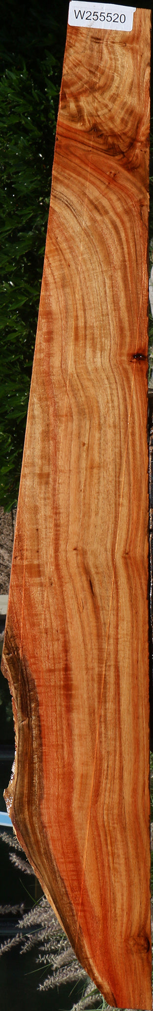 Extra Fancy Carob Lumber