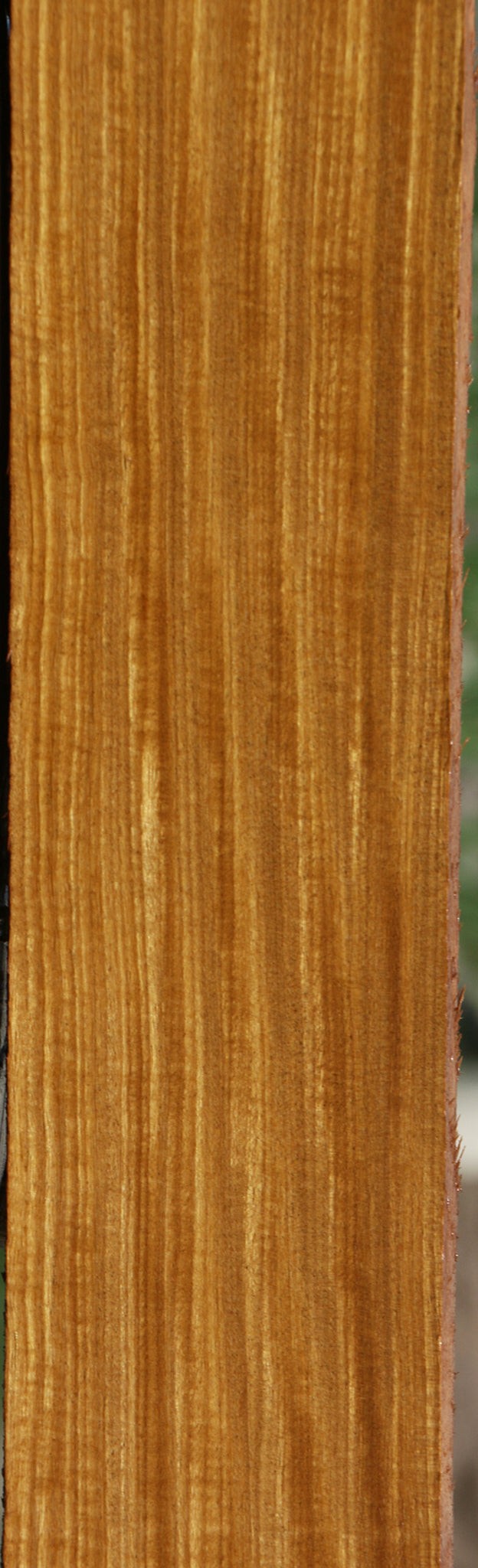 Extra Fancy Quartersawn Afrormosia Lumber