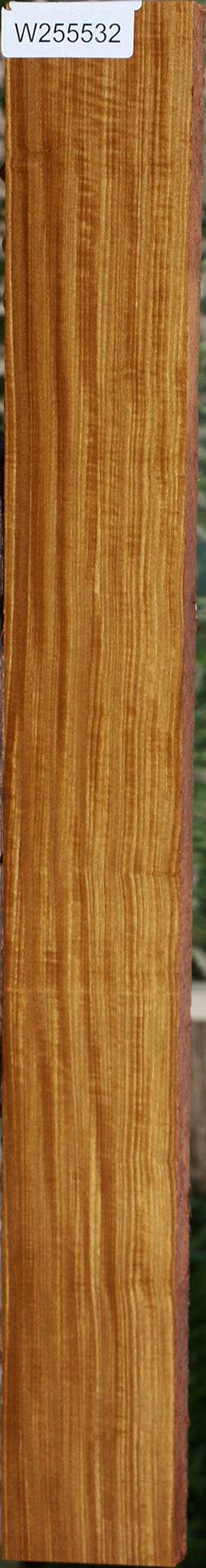 Extra Fancy Quartersawn Afrormosia Lumber