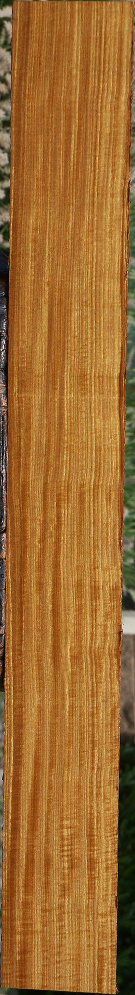 Extra Fancy Quartersawn Afrormosia Lumber