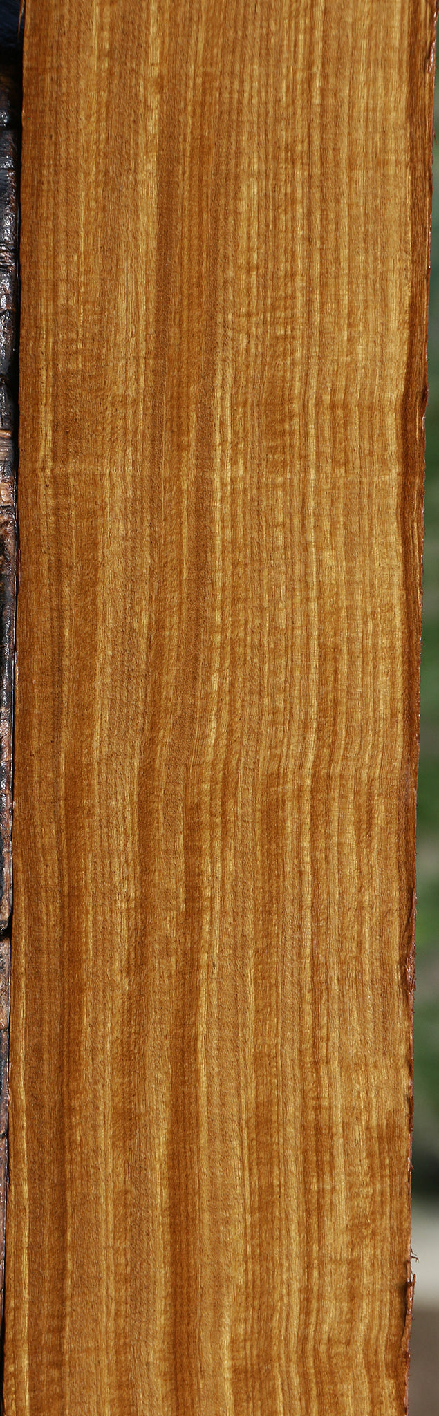 Extra Fancy Quartersawn Afrormosia Lumber