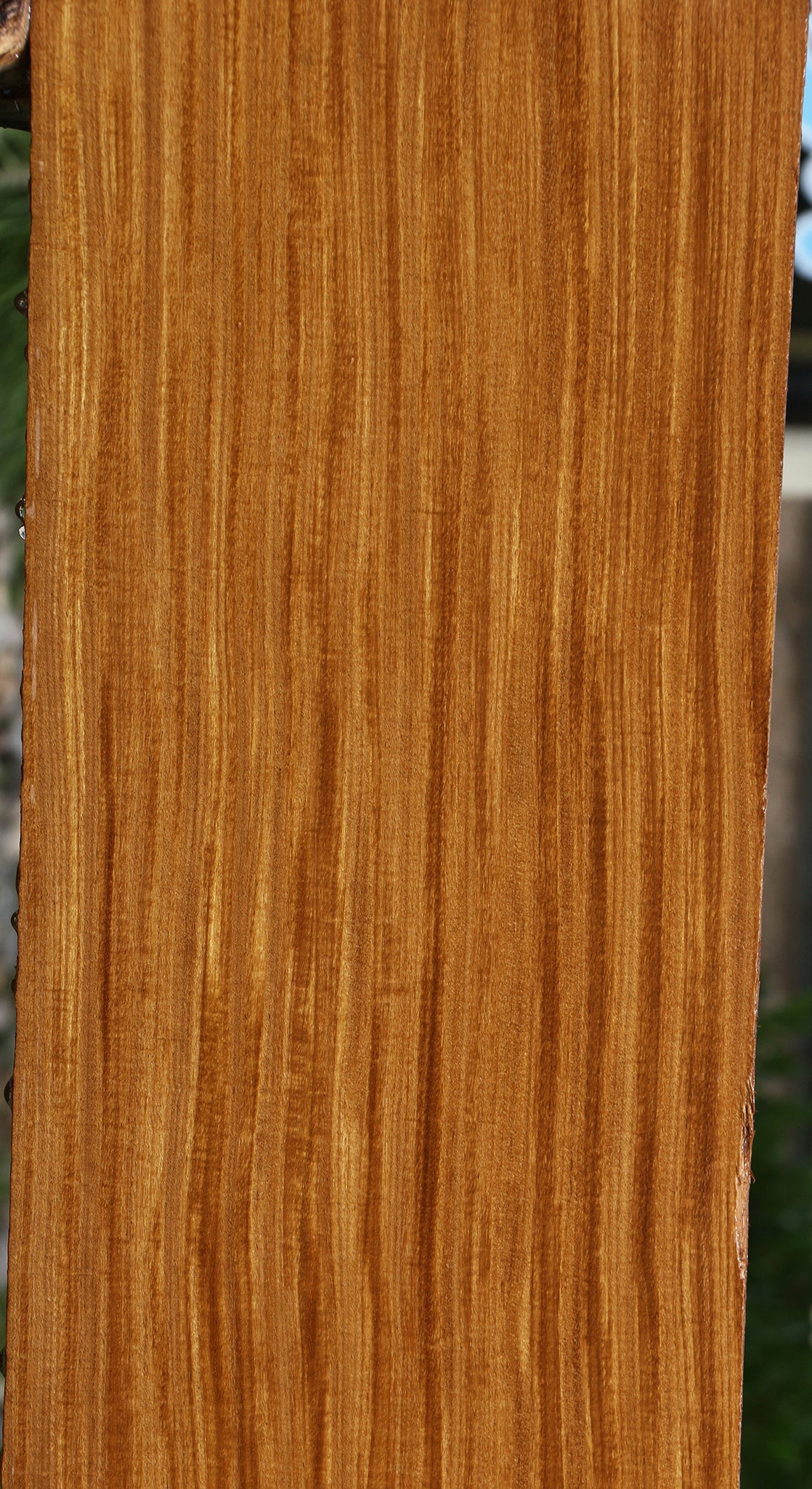 Extra Fancy Quartersawn Afrormosia Instrument Lumber