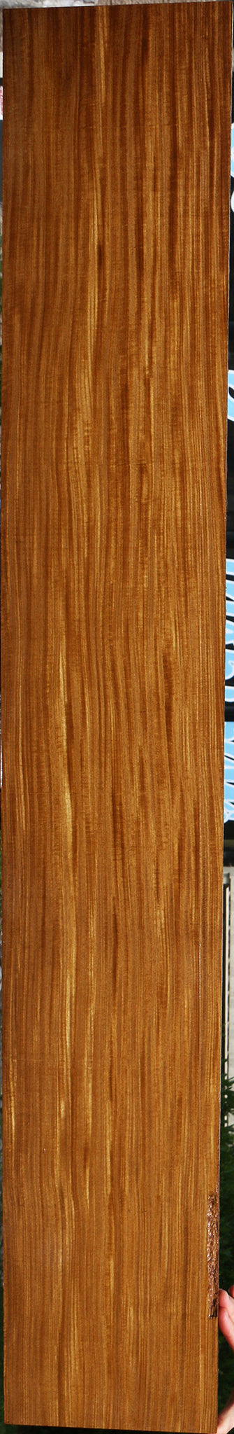 Extra Fancy Quartersawn Afrormosia Instrument Lumber