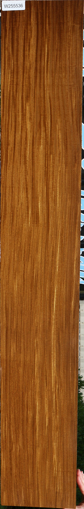 Extra Fancy Quartersawn Afrormosia Instrument Lumber