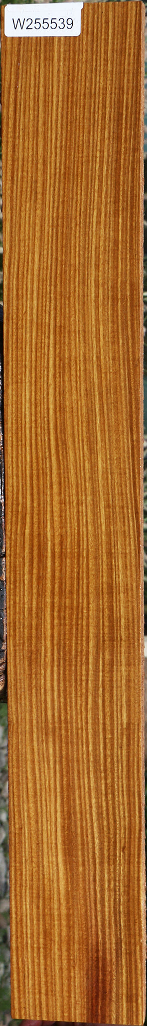 Figured Quartersawn Afrormosia Lumber