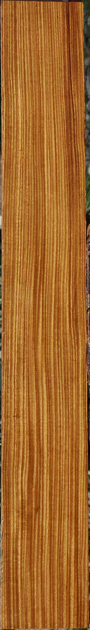 Figured Quartersawn Afrormosia Lumber