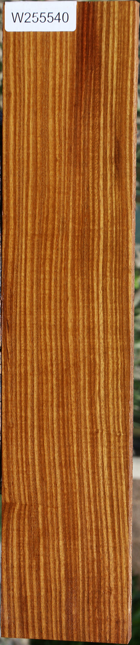 Figured Quartersawn Afrormosia Lumber