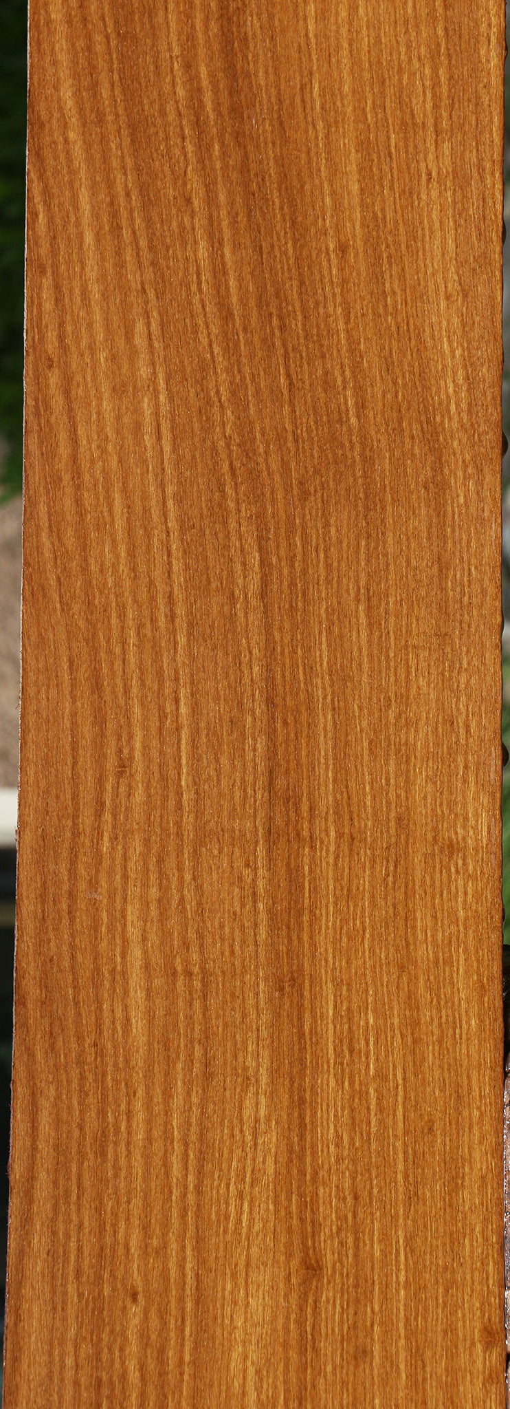 Afrormosia Lumber