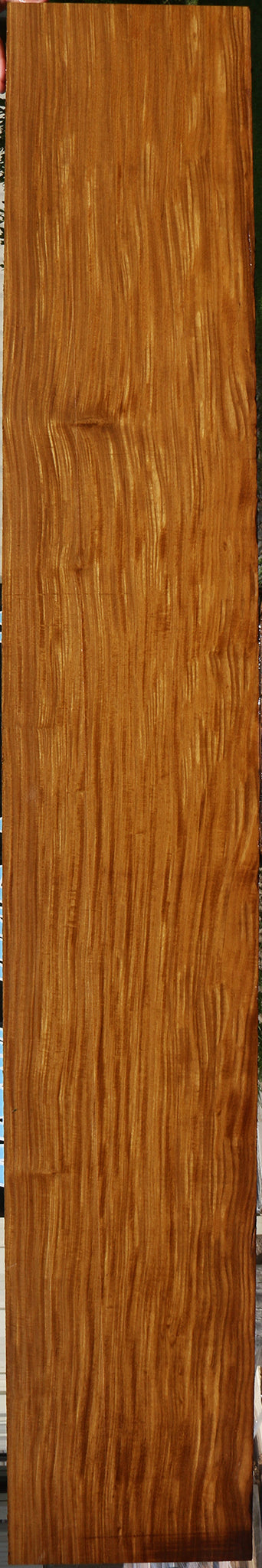 Afrormosia Lumber