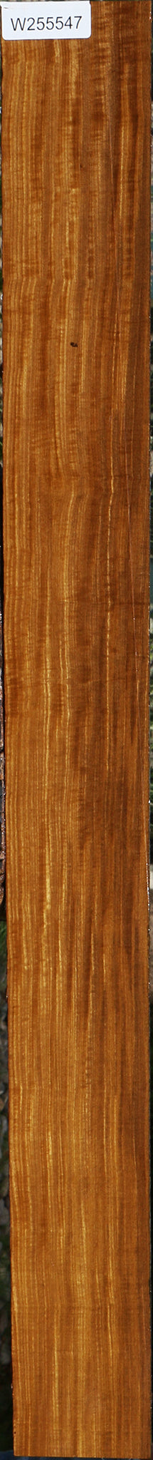 Extra Fancy Quartersawn Afrormosia Lumber