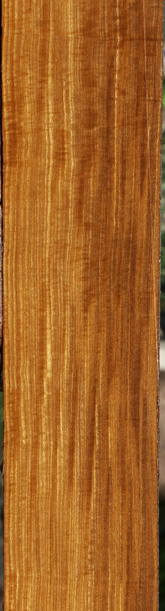 Extra Fancy Quartersawn Afrormosia Lumber