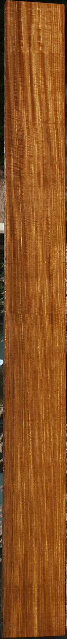 Extra Fancy Quartersawn Afrormosia Lumber
