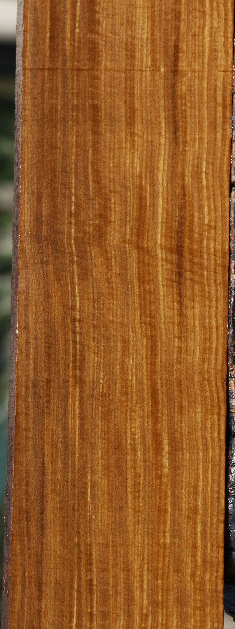 Extra Fancy Quartersawn Afrormosia Lumber