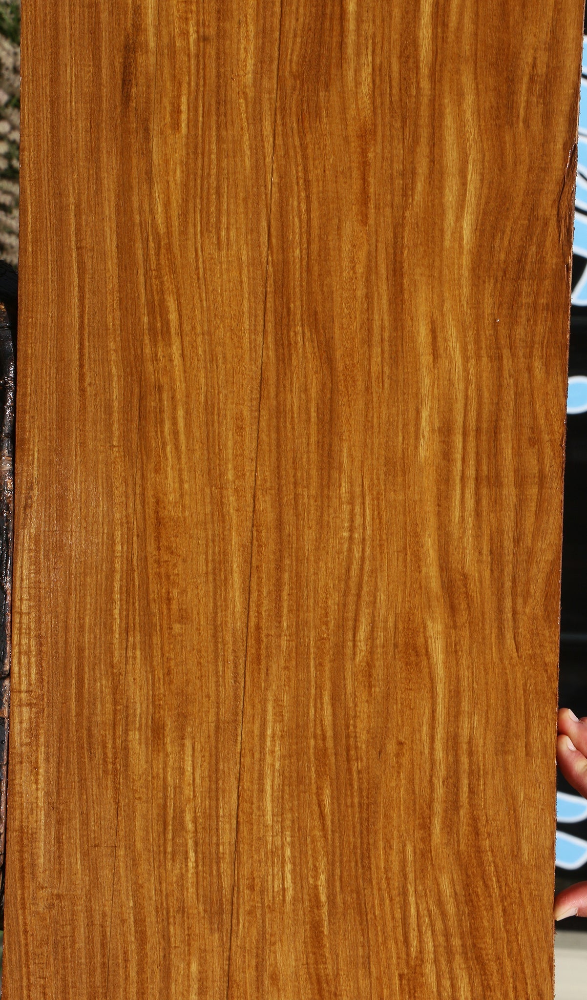 Extra Fancy Afrormosia Lumber