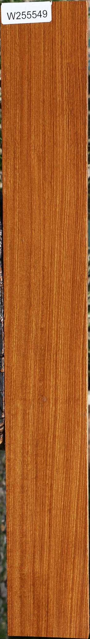Afrormosia Lumber