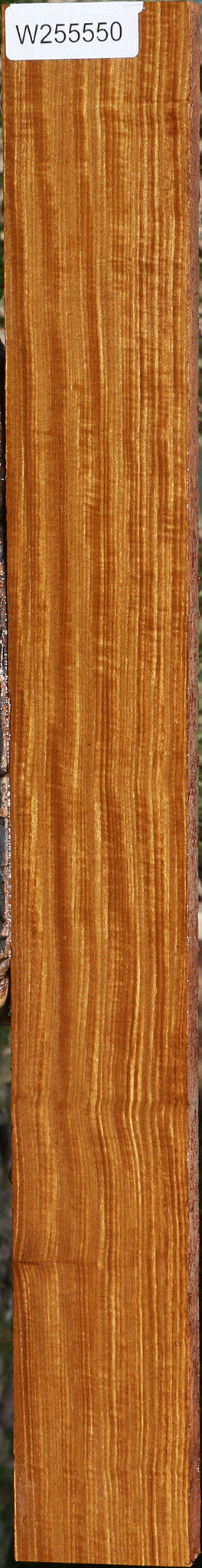 Extra Fancy Afrormosia Lumber