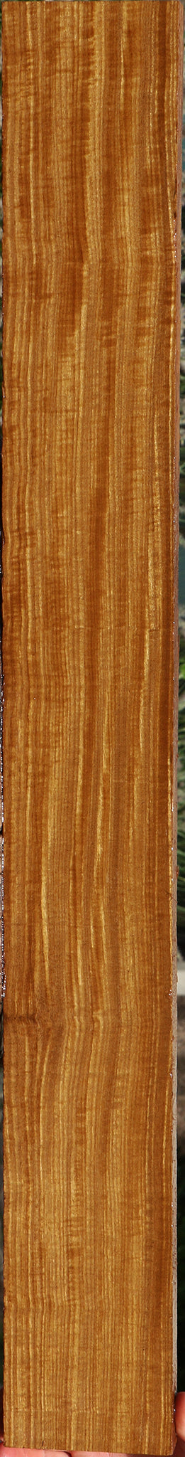 Extra Fancy Afrormosia Lumber
