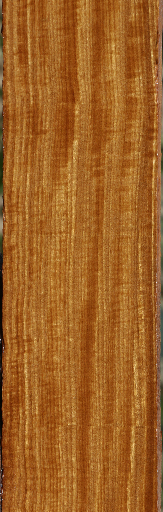 Extra Fancy Afrormosia Lumber