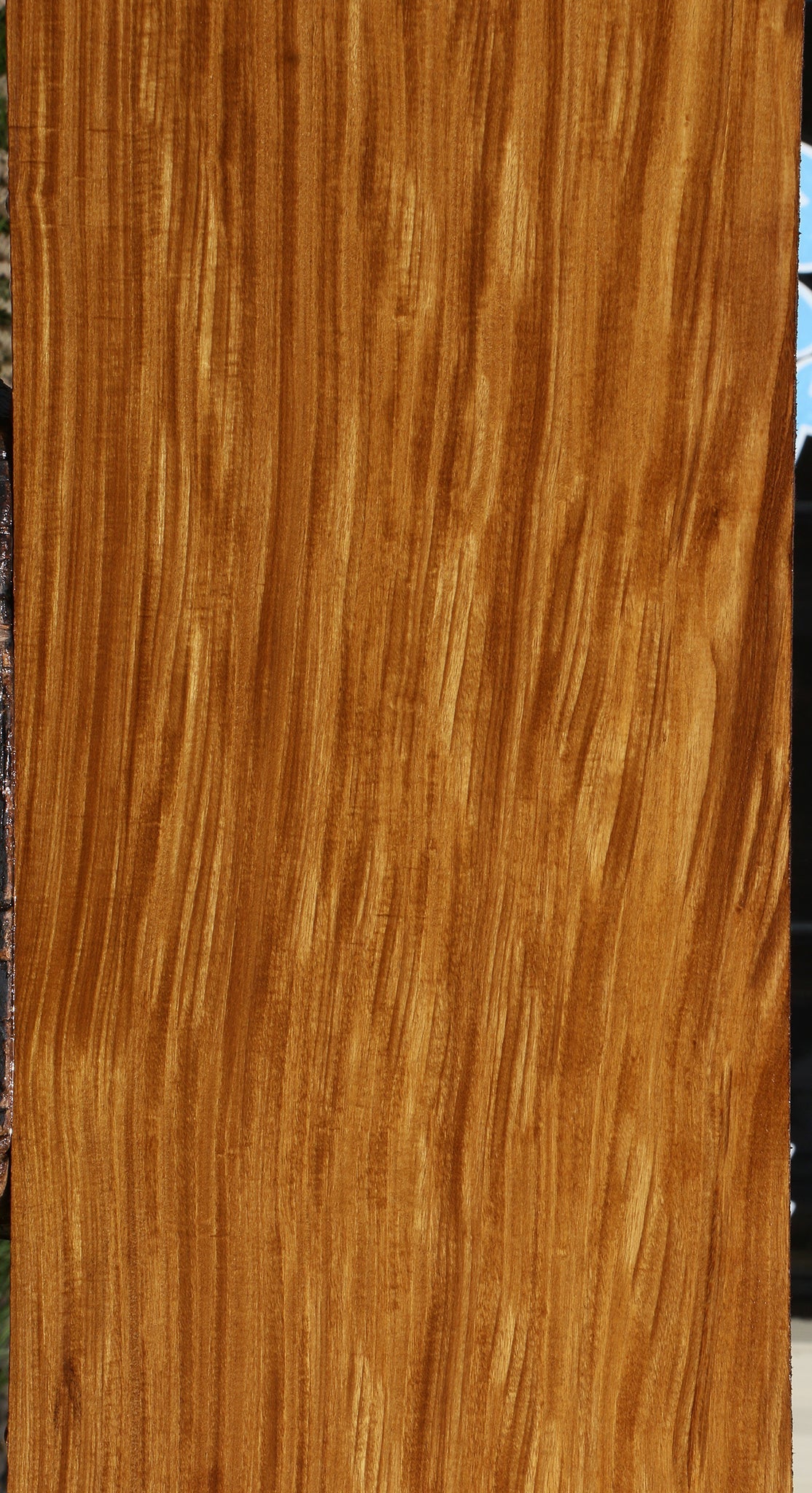 Extra Fancy Afrormosia Lumber