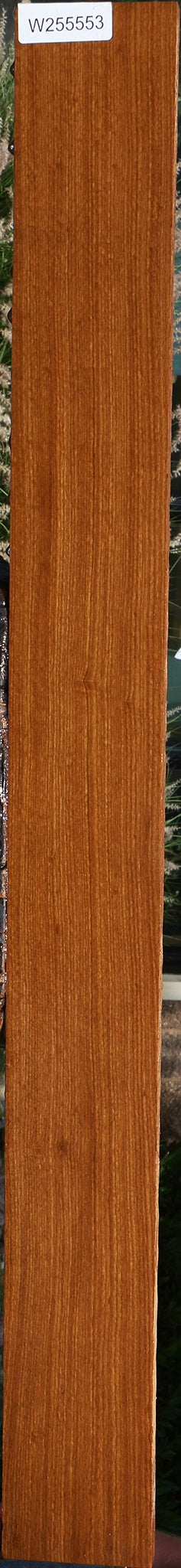 Afrormosia Lumber