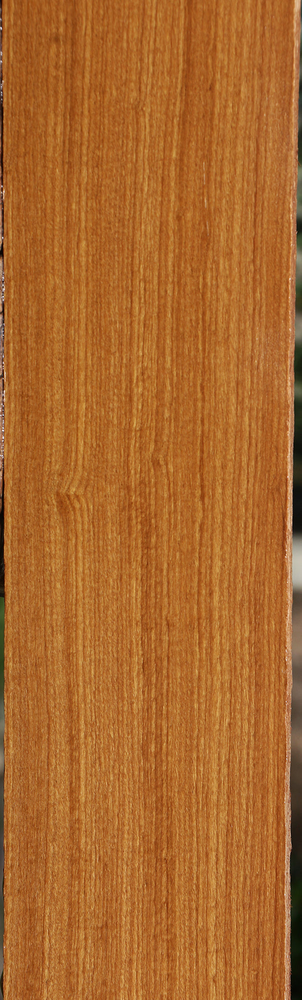 Afrormosia Lumber