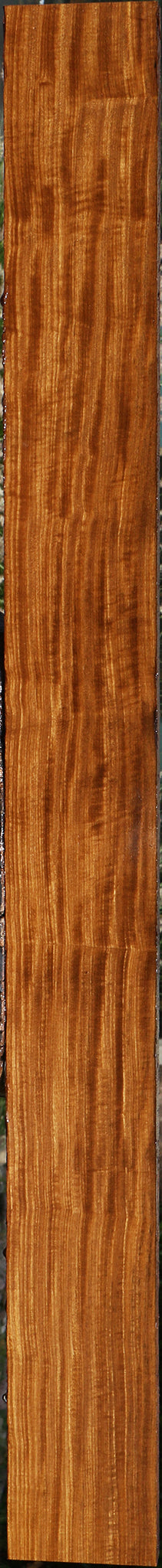 Extra Fancy Quartersawn Afrormosia Lumber