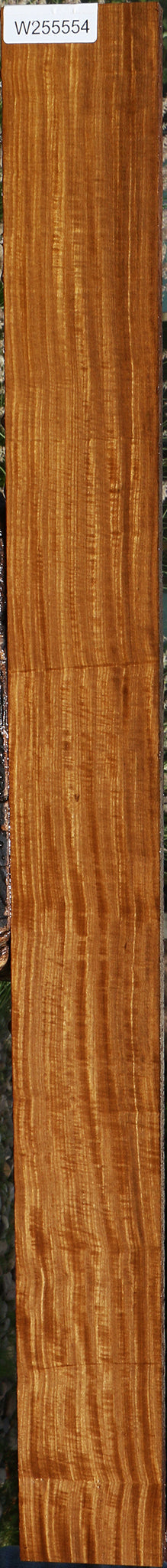Extra Fancy Quartersawn Afrormosia Lumber