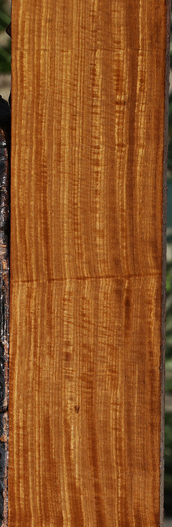 Extra Fancy Quartersawn Afrormosia Lumber
