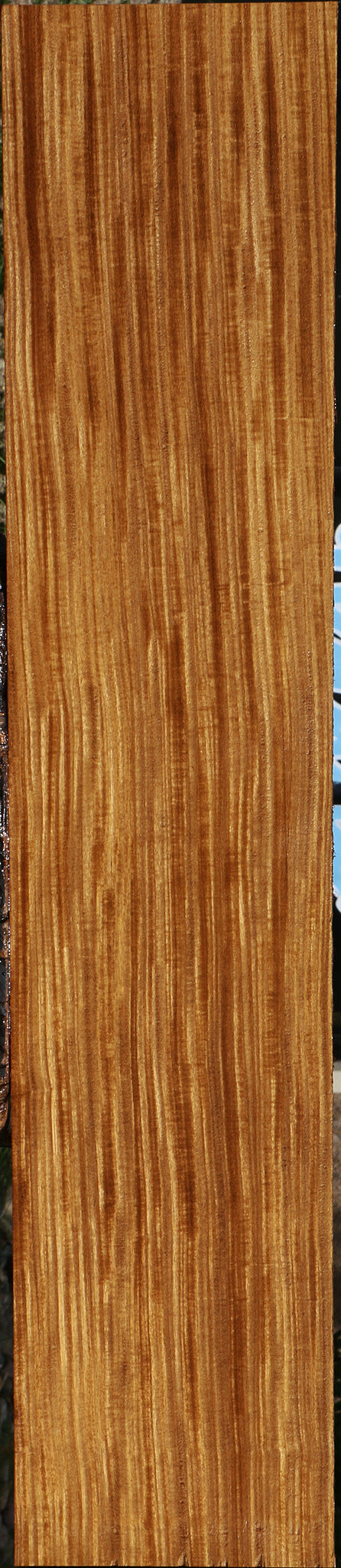 Extra Fancy Quartersawn Afrormosia Lumber