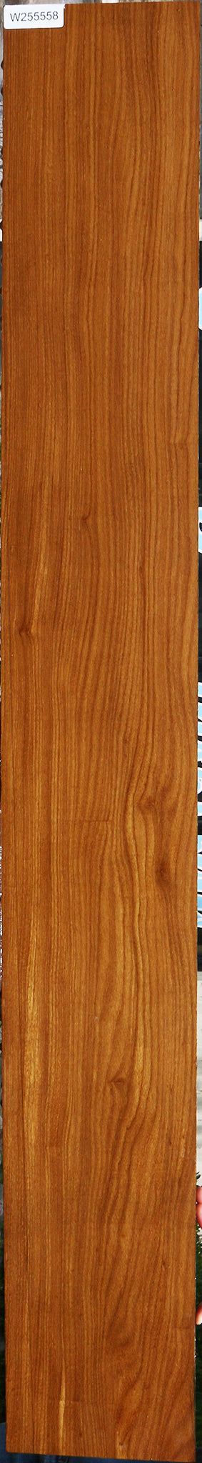 Afrormosia Lumber