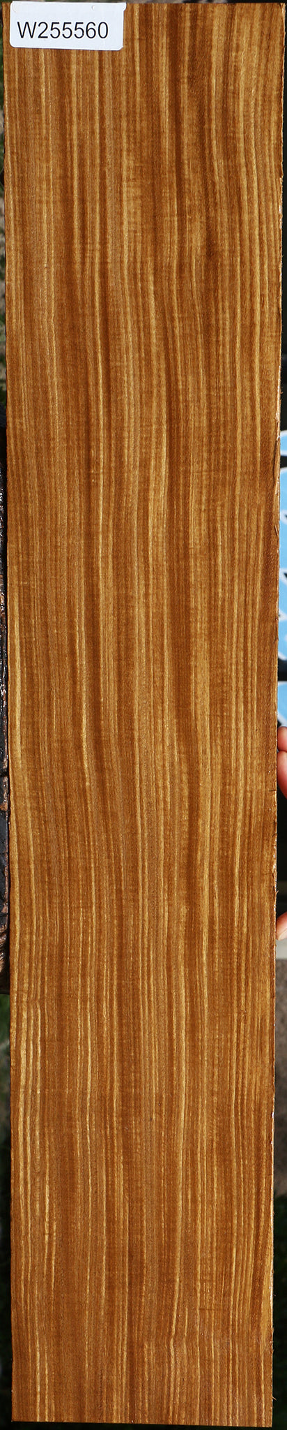 Extra Fancy Quartersawn Afrormosia Lumber