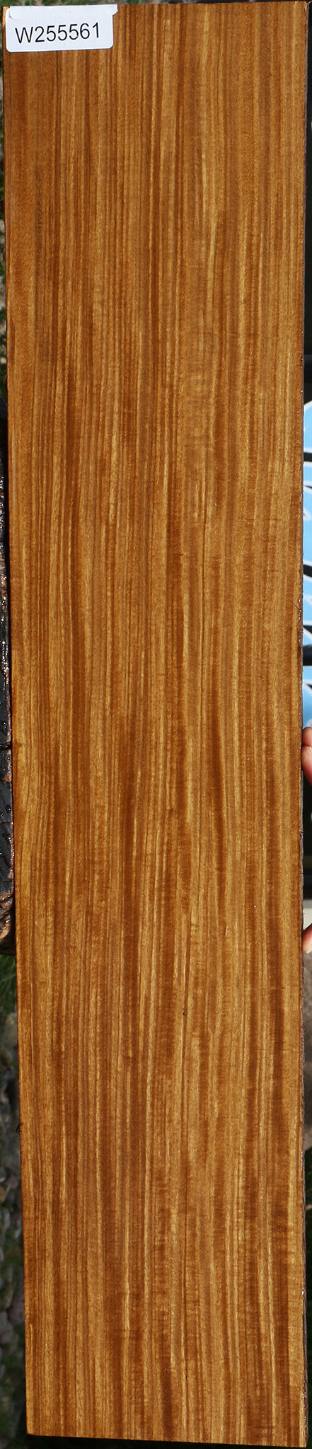 Extra Fancy Quartersawn Afrormosia Lumber