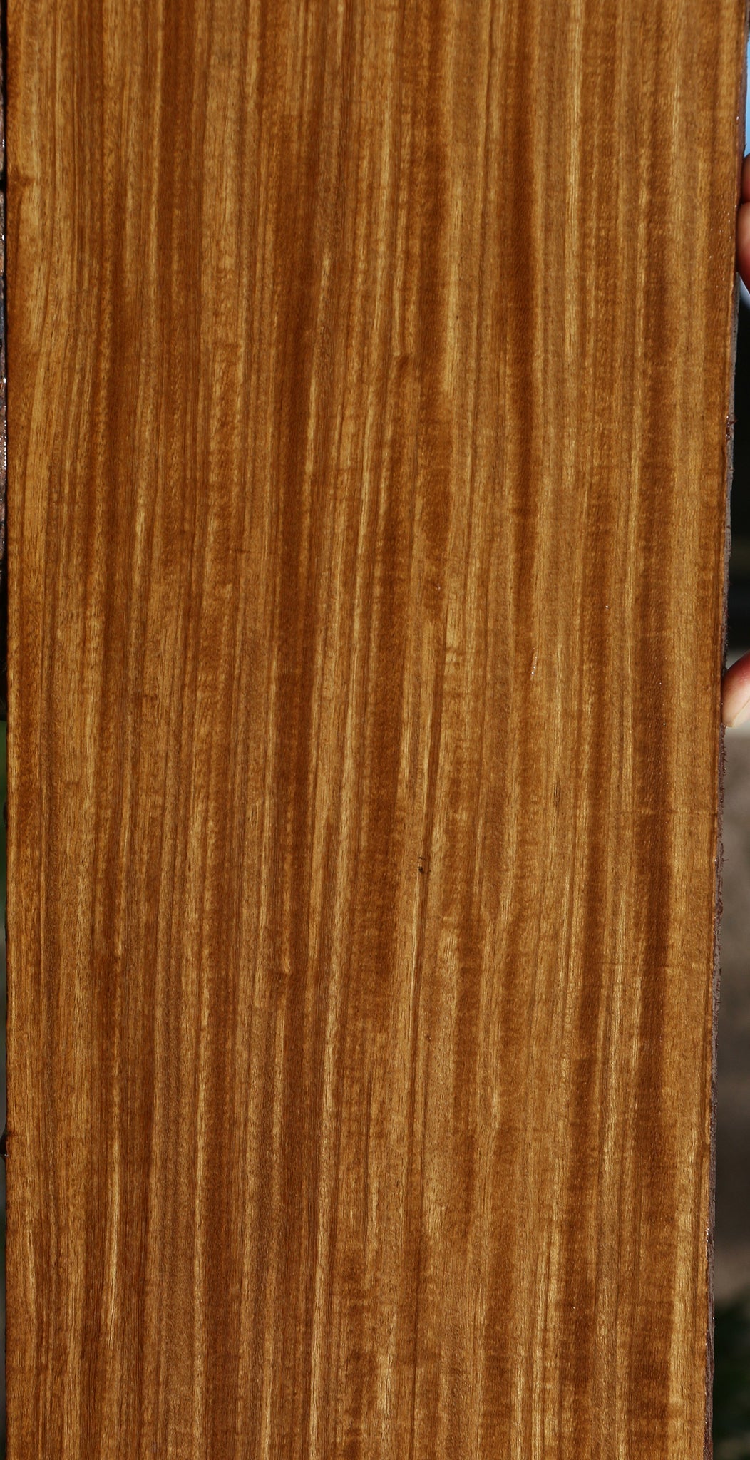 Extra Fancy Quartersawn Afrormosia Lumber