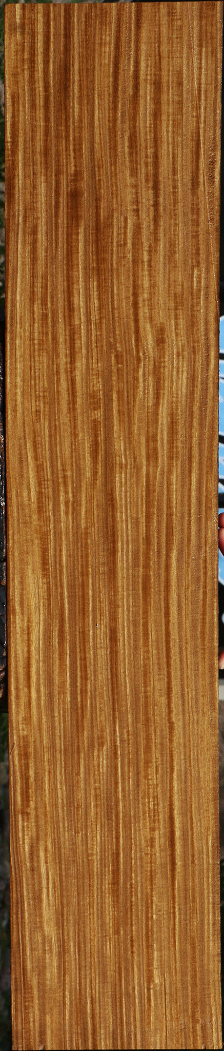 Extra Fancy Quartersawn Afrormosia Lumber