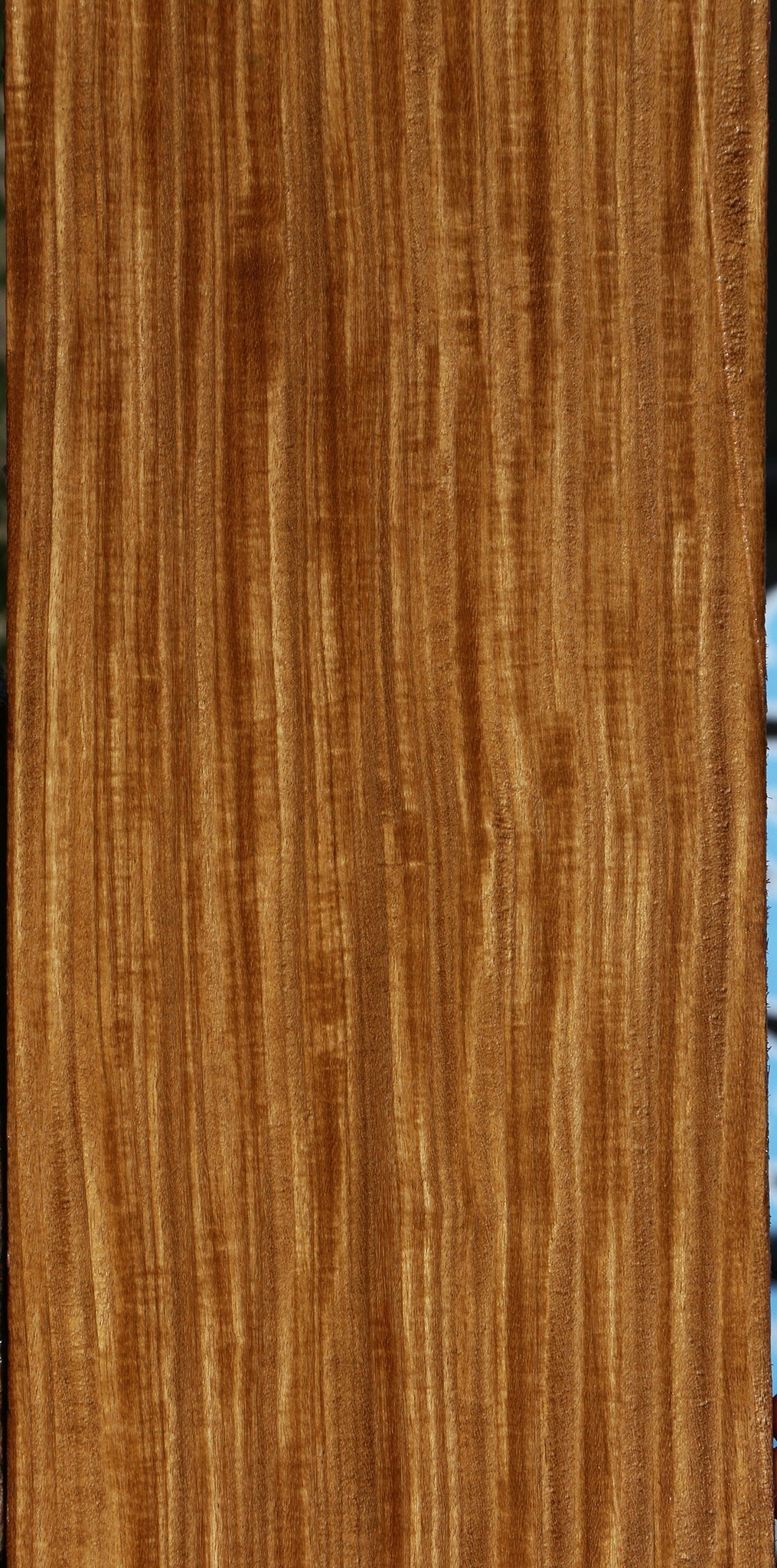 Extra Fancy Quartersawn Afrormosia Lumber