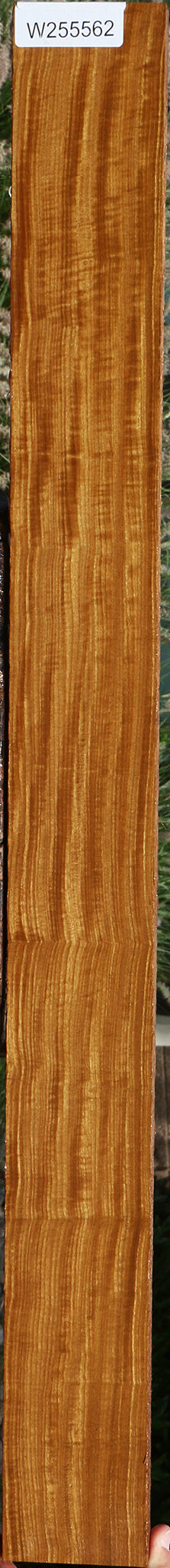Extra Fancy Quartersawn Afrormosia Lumber