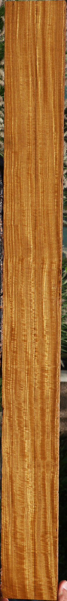 Extra Fancy Quartersawn Afrormosia Lumber