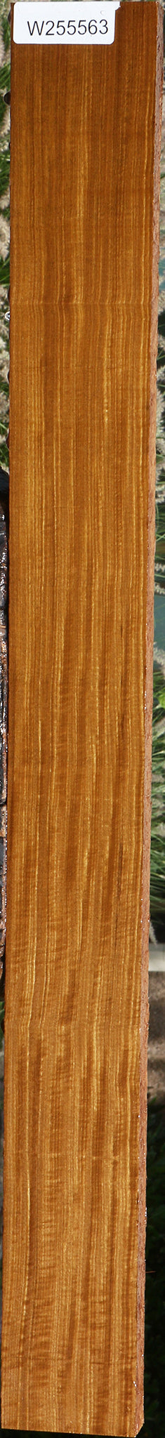 Extra Fancy Quartersawn Afrormosia Lumber