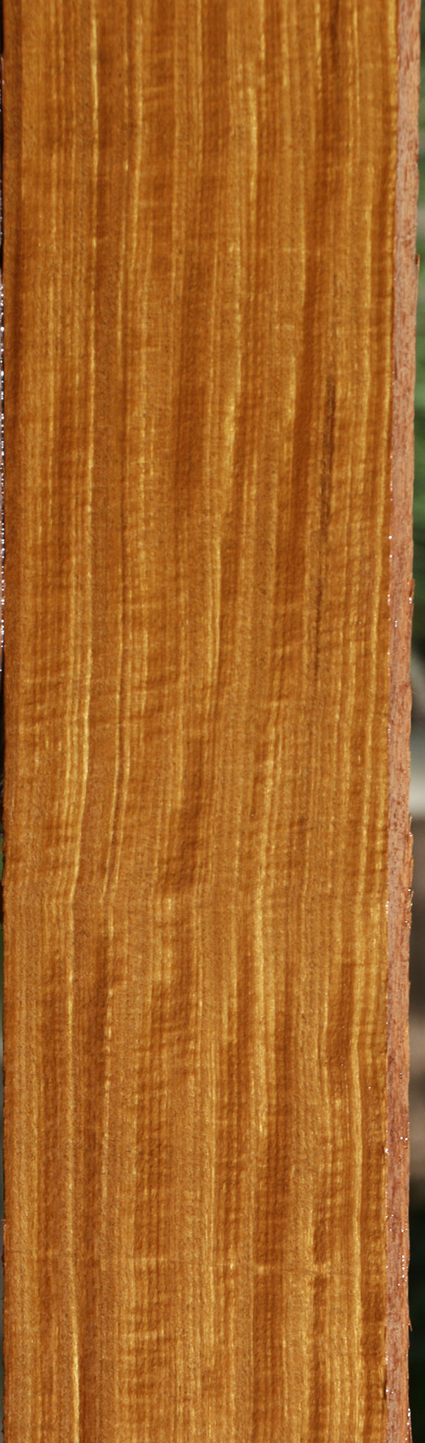 Extra Fancy Quartersawn Afrormosia Lumber