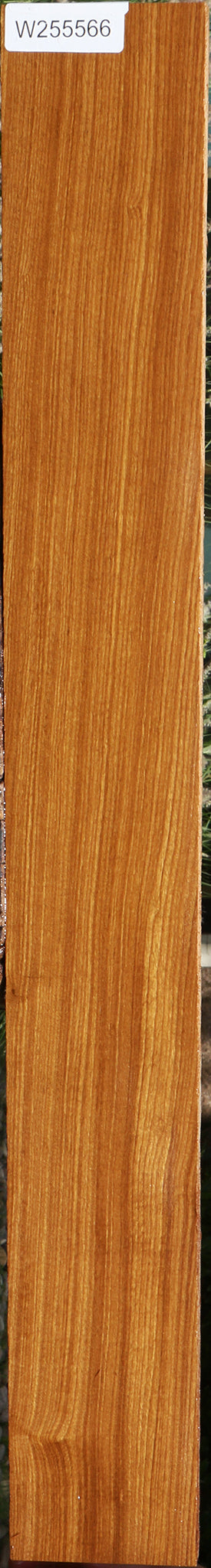 Afrormosia Lumber