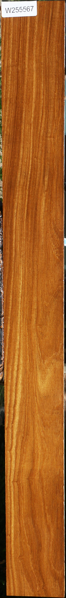 Afrormosia Lumber