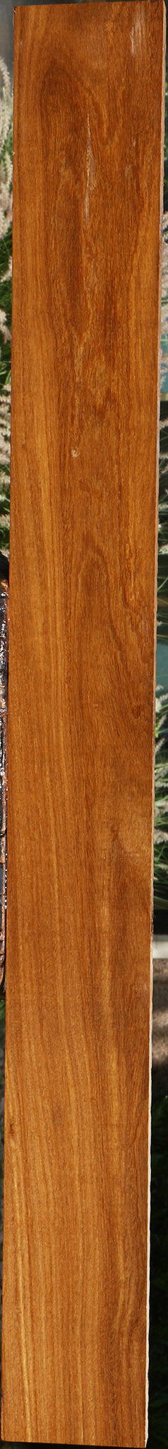 Afrormosia Lumber