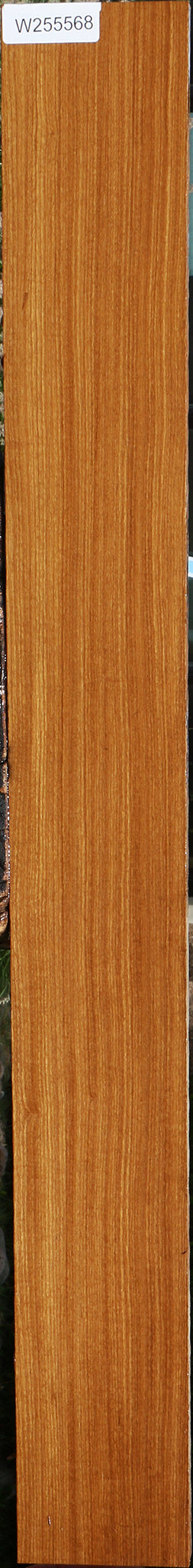 Afrormosia Lumber