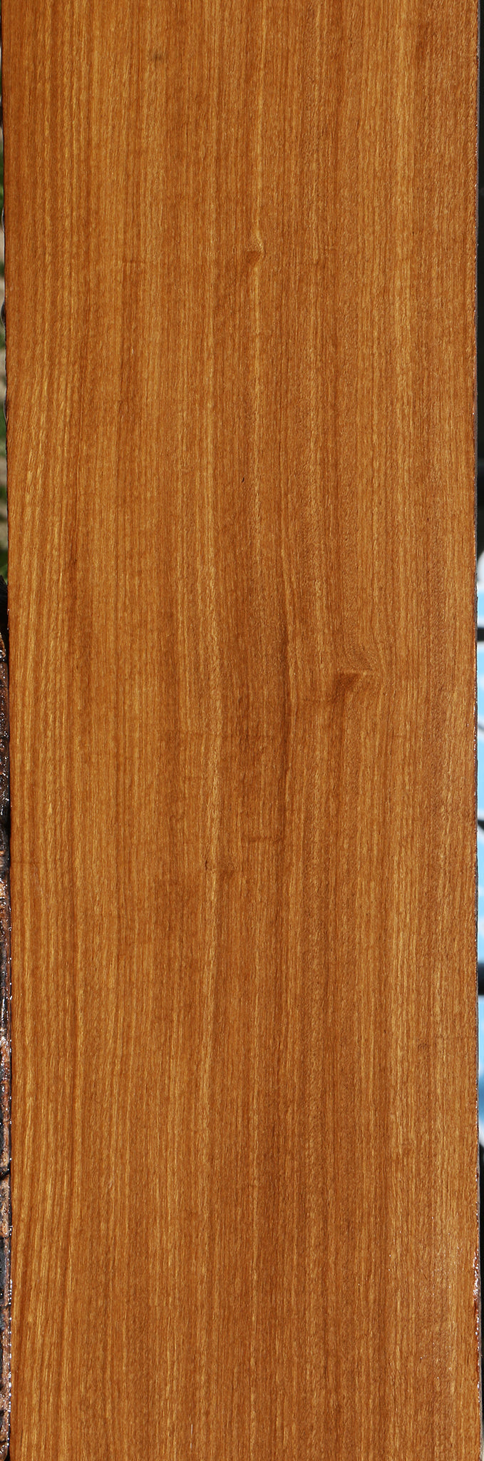 Afrormosia Lumber